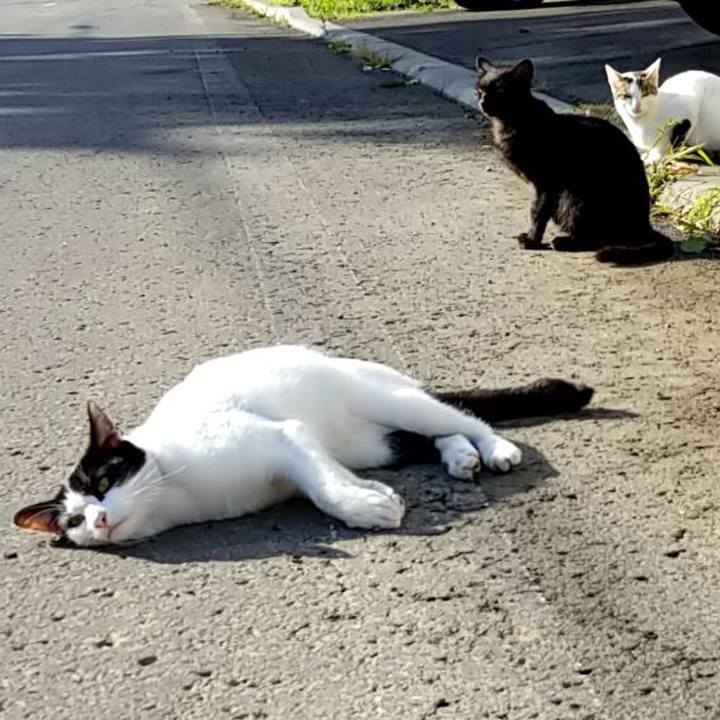 Db2d9cfe 9c45 4acf aac3 9add5d6d3e95 1568990564127