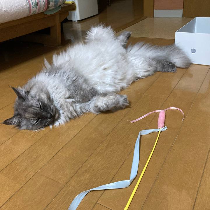 Db2dffd5 d0cb 4c2c 9a6e 3c65729730b5 1707345706917