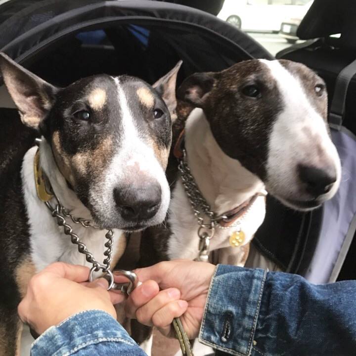 Db2e0b93 06d0 4047 aafd 534c2035b4f4 1509775911308