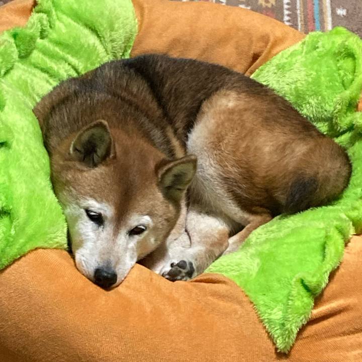 Db2e1fcb 419c 4491 9364 5b4450499b0c 1741596963640