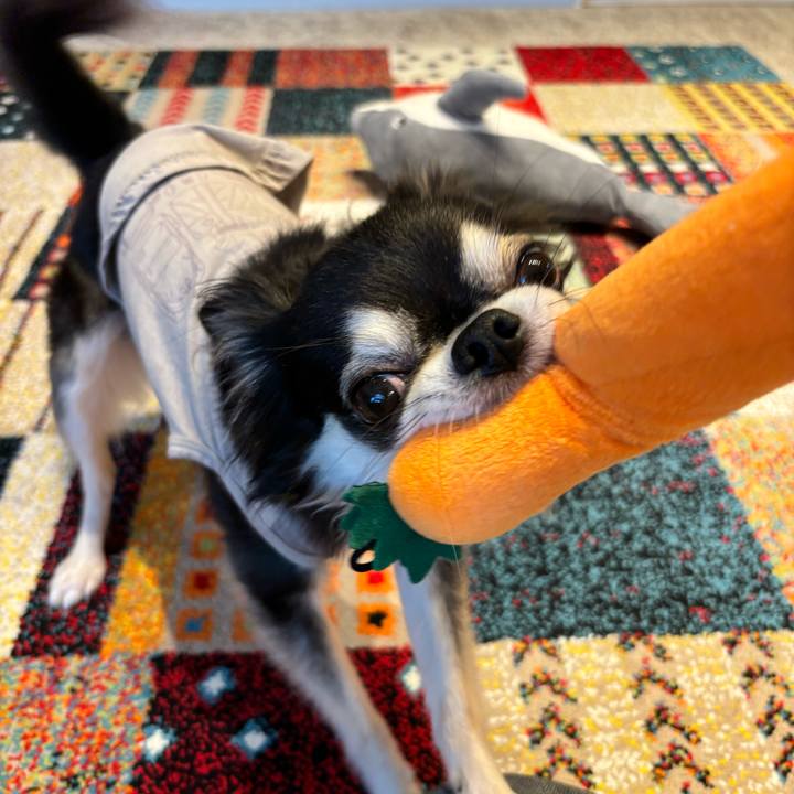 Db2e245b ab26 4d4b 9054 750313a07f8a 1725206240773