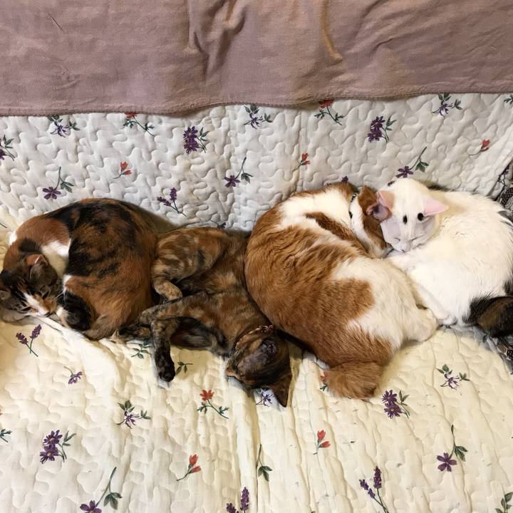 Db2ec0d3 a03e 4f1d a5c0 c4a924b0546b 1606030475414