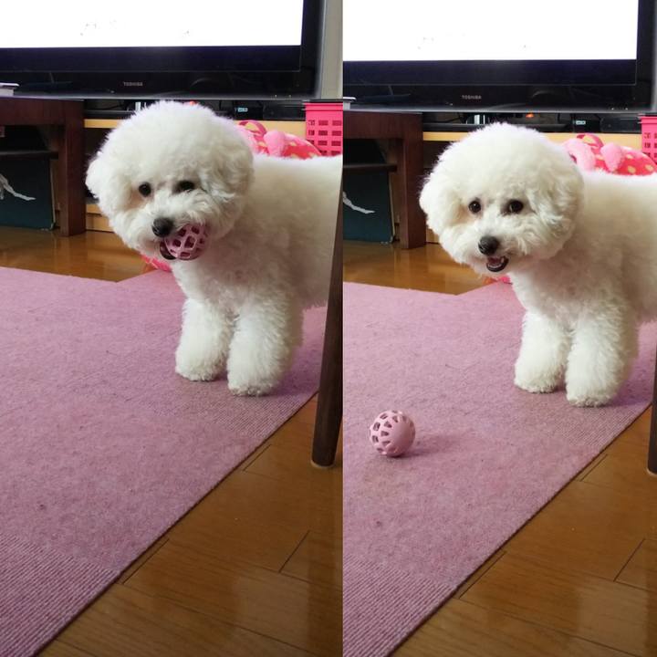 Db2ee624 06ad 42d1 b640 b7207cb71aec 1525601128562