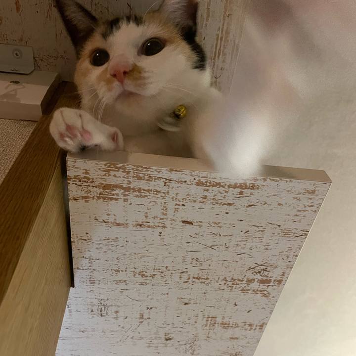 Db2f0d08 a68e 4b81 b2d4 a11fdbc3770e 1686183623294