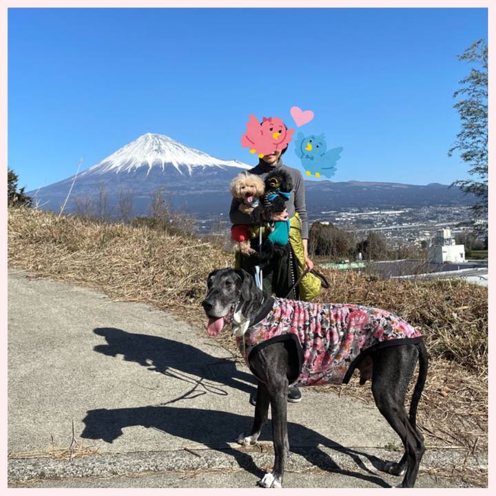 Db2f2228 06ee 4fe0 ba7e dd3b71d5837d 1612586952251