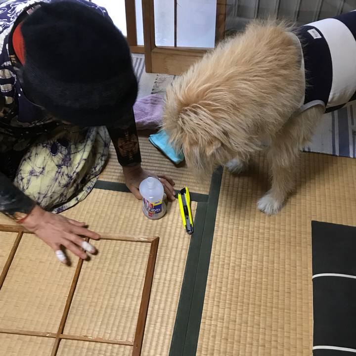 Db2f4a50 731a 4ba6 a7de 6fb36571ebba 1545377615113