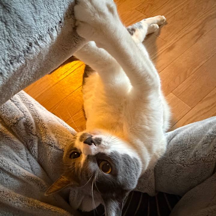 Db2f571c 76fe 42f5 a4f2 261f41d8b7fc 1768177659186