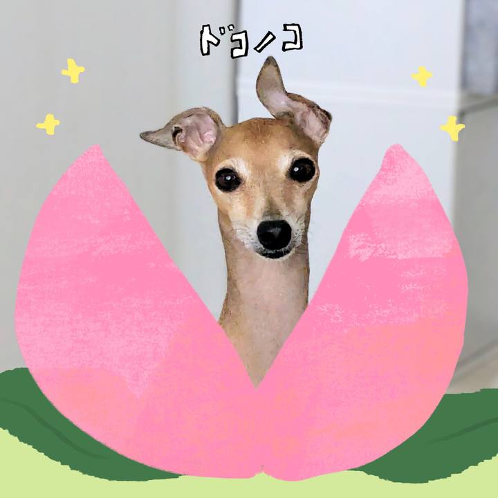 Db2f6927 fc43 4a13 b15e 7ff4ee5acb3b 1772075683620