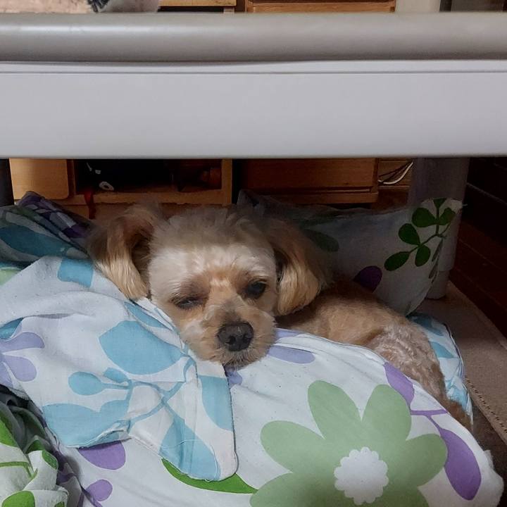 Db2f7251 42a7 414d b453 040ca5ab9f1c 1630292538351