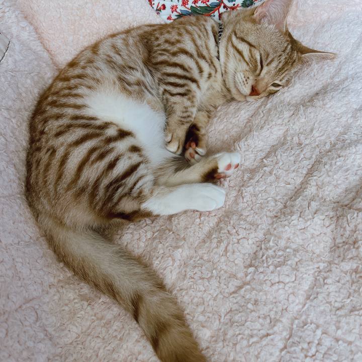 Db2f8222 9099 4738 8597 8b081472703b 1657672799954