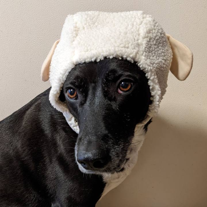 Db2fcc85 02dc 4730 b2ee c12e8a00d2c5 1667128079332