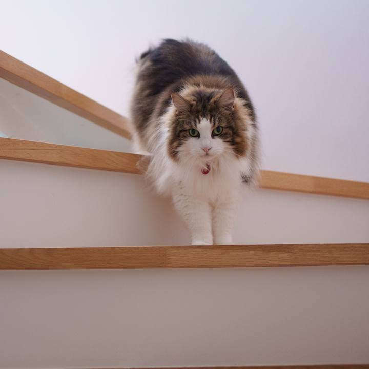 Db2fd78f 4665 4c39 8208 5bad3f248bcb 1757217706311