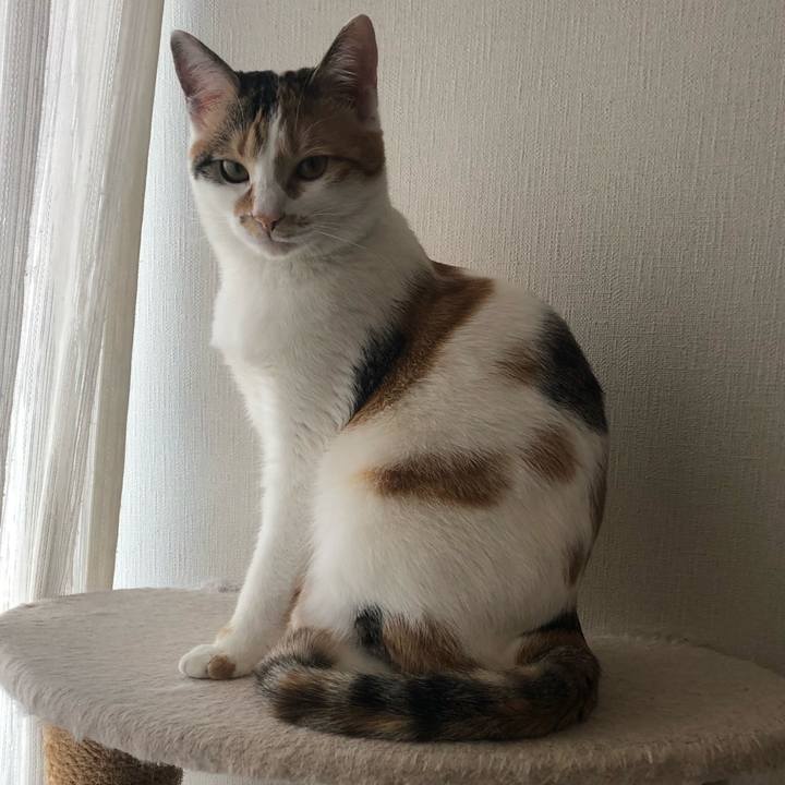 Db2fe6d2 3971 48dd a3e8 5bc4ac3f44a9 1584235275615