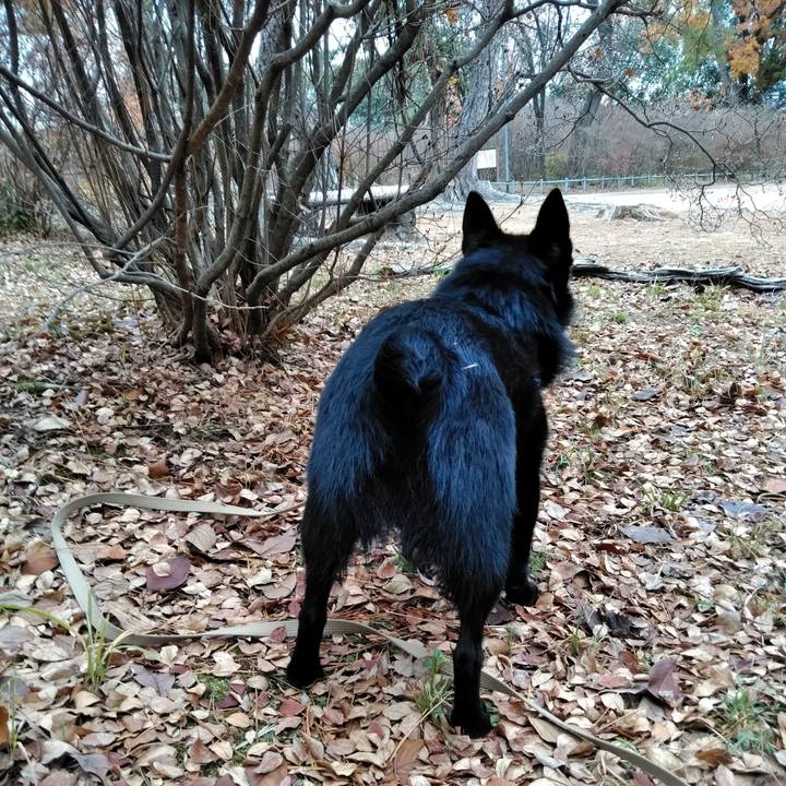 Db2ff40a d94a 4547 91d2 3d2f8a3826fe 1576974963905