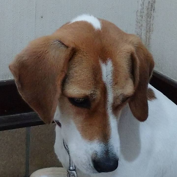 Db3022e5 8191 4eec 819e 0c0410157db8 1576553808318