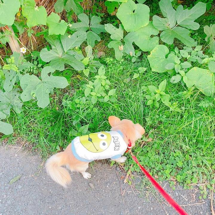 Db303095 2a71 4c06 932a 084709096aca 1633437358683