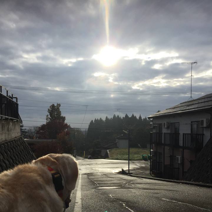 Db3062b7 2ad5 4cd3 878c 54af35af7163 1542153432249