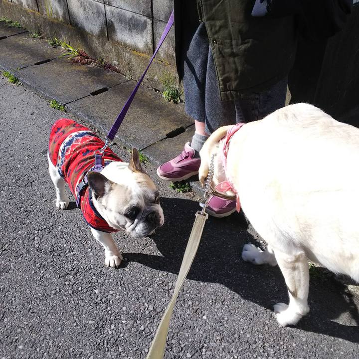 Db3064f0 69cb 4eff 8b34 c21061e12d9e 1582862003870