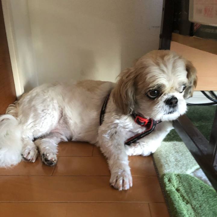 Db3076ac 4da7 4e50 8b00 fcbc6fec1380 1599082958360