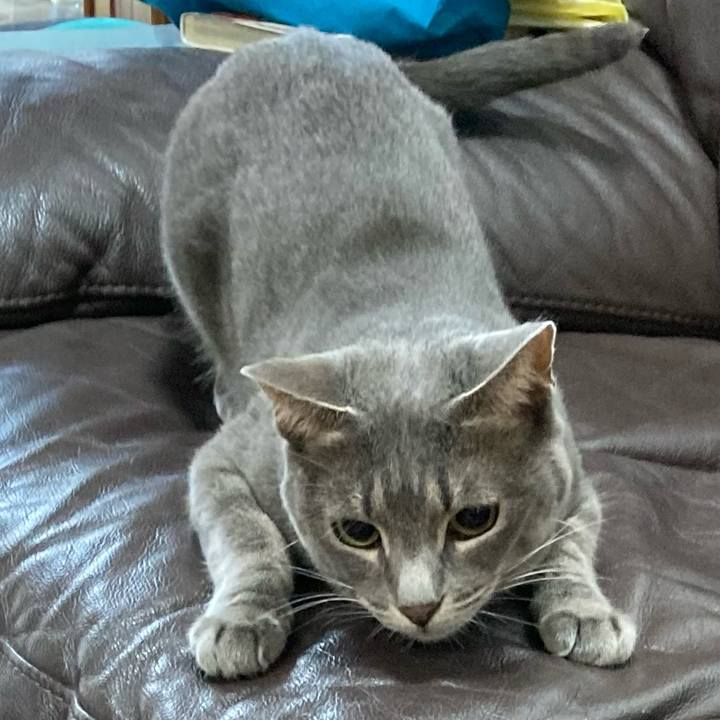 Db30798e 52c3 40c7 b4bf 3f0e3a877f92 1661735215748