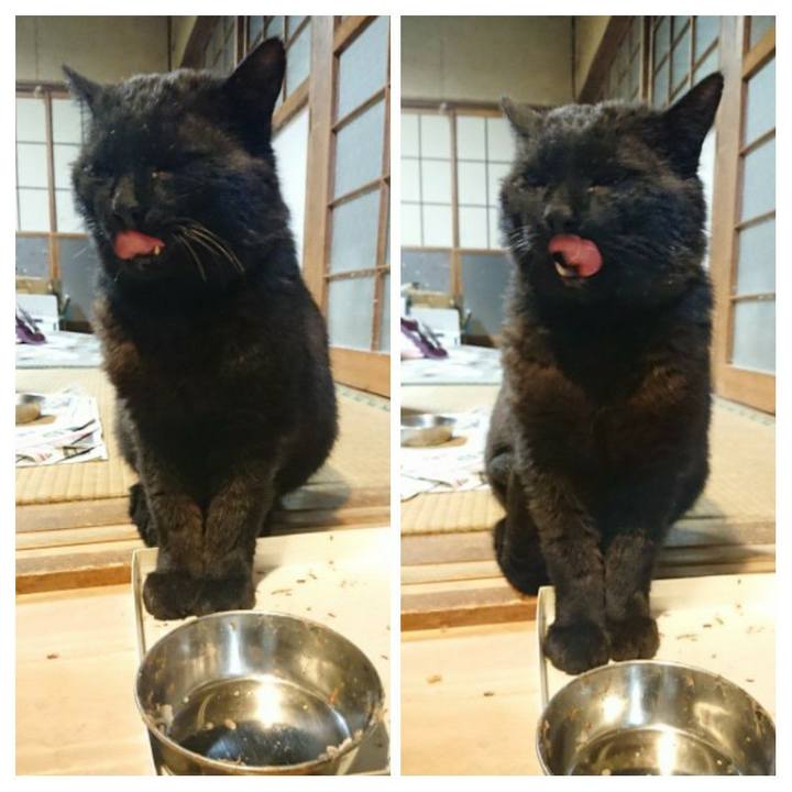 Db3097ae c7a9 444b 92c4 a0122e2e2816 1619608762625