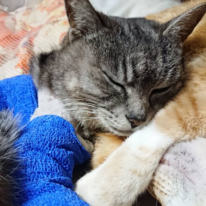 Db309847 f81d 4a84 89ba e4785ff40134 1586953767322