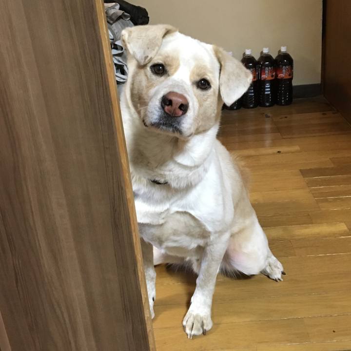 Db30cf9b 205d 4f81 9fe3 01d4e1391c72 1517264640748