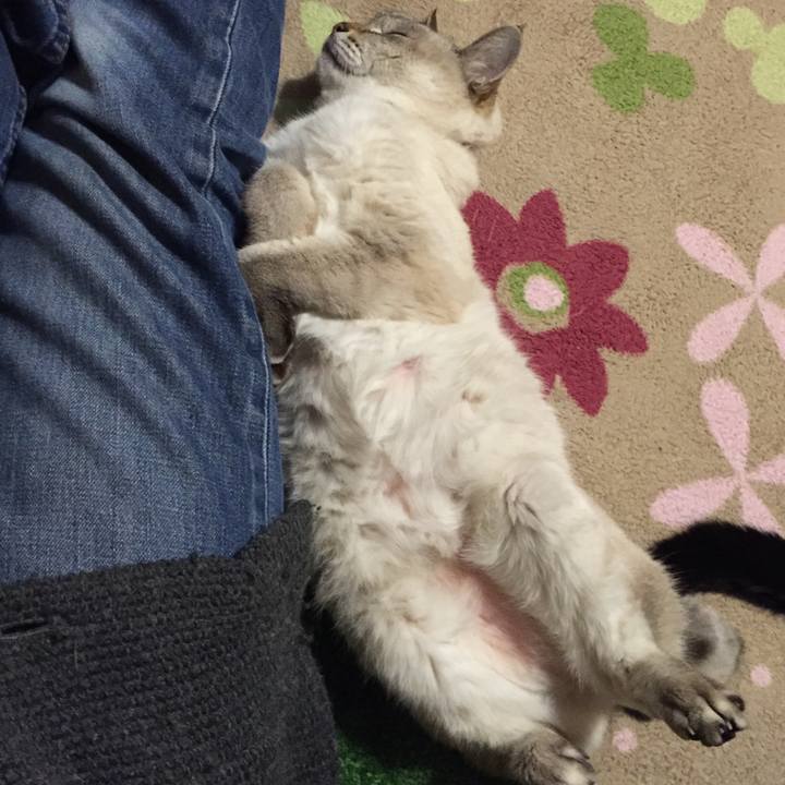 Db313705 3446 4353 89c3 0f17ff498dff 1542281705827