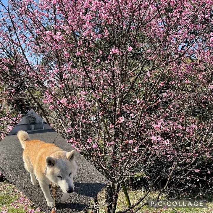 Db31454b 480c 46e8 a80b c5bed4a2bba2 1678947542606