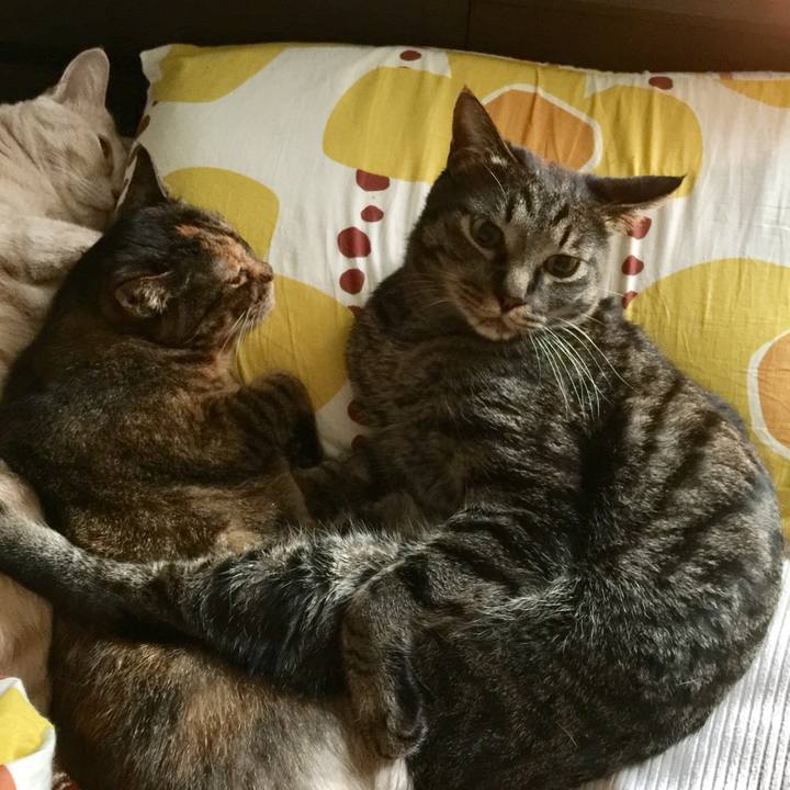 Db314752 a648 4f62 a3f2 05a329478508 1524524398492