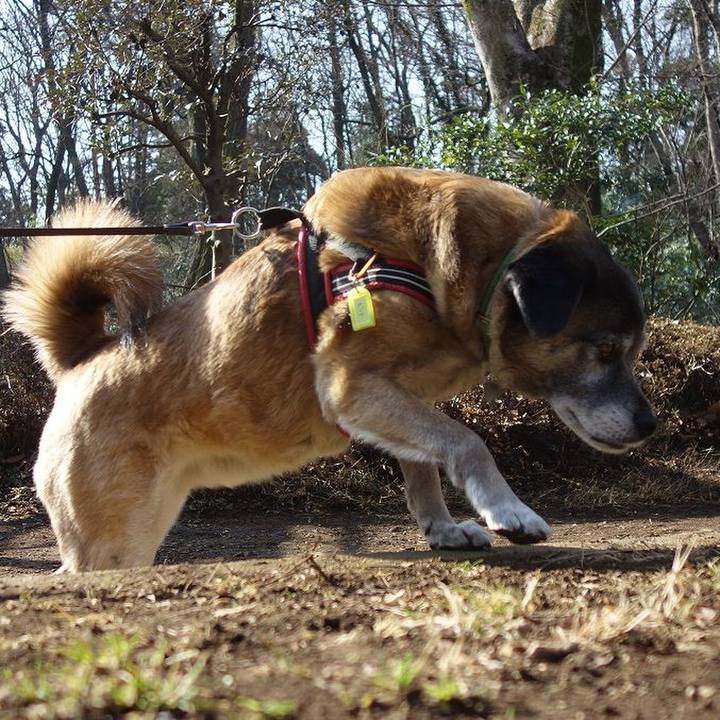 Db319ce1 3f04 4e1b 8f1e 69b228c20ffb 1519435588127