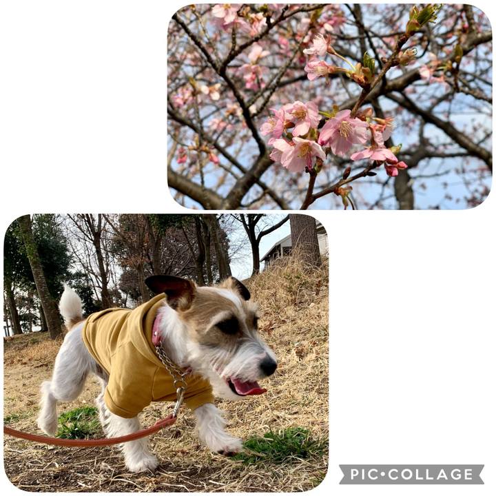 Db31c505 f8f9 475f a5b1 a82fa9bd15b8 1614596680025