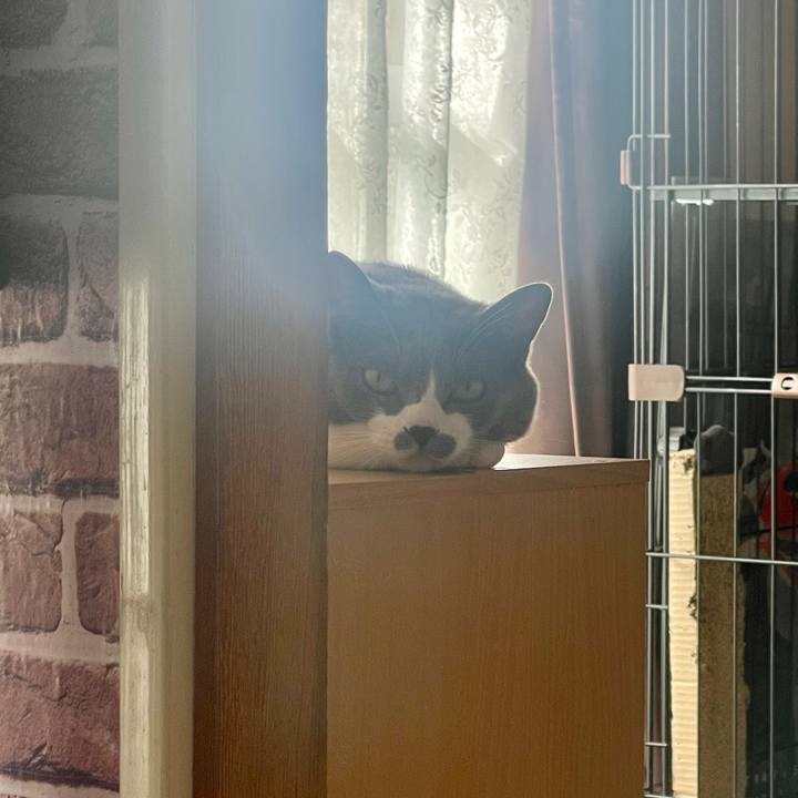 Db31ce77 cb04 446a 8aa1 93b0c7e64f4c 1666050995446