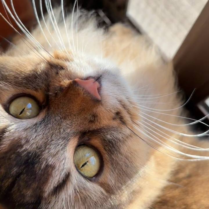 Db321fab 56a0 4c92 886e 55e713ad7499 1759877196227