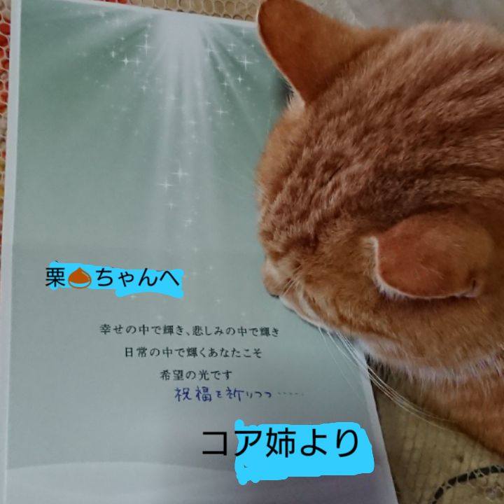 Db322672 d8a9 478d a650 f4e342010efa 1608341841045