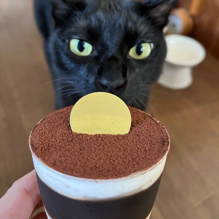 Db322901 2e33 431e b4dd 3c280a1370b0 1691022146401