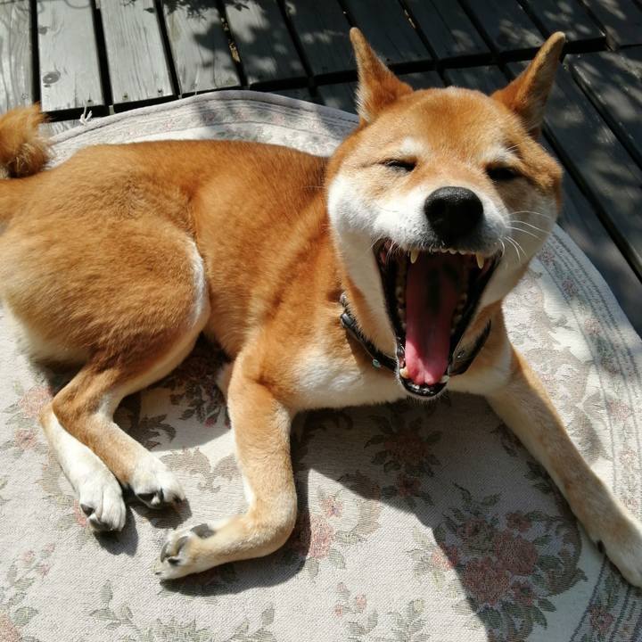 Db3241d3 4c43 401e 8fcb 663192e760f2 1583028568974