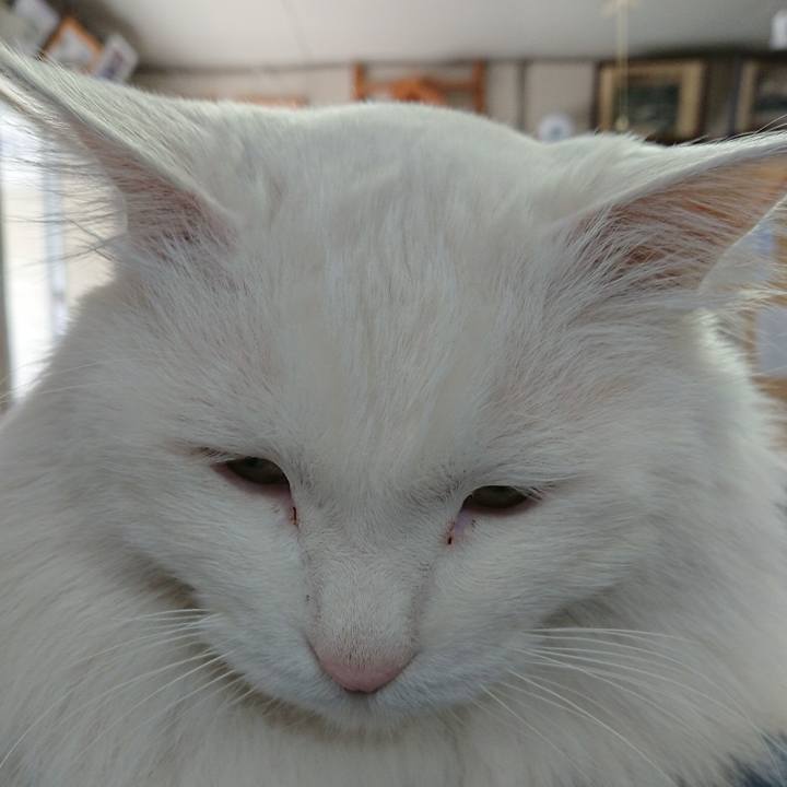 Db32828e 643a 43ac 96ae 7d71ffadd931 1556360670895