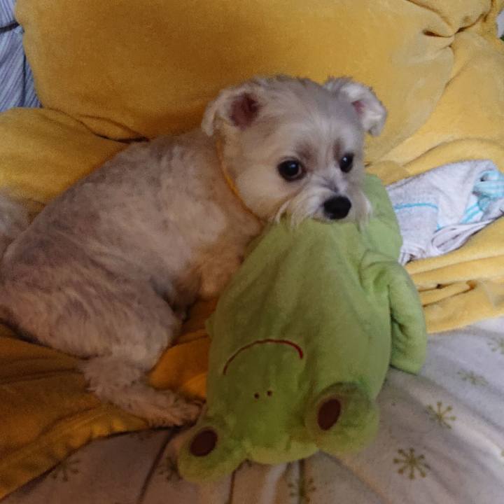 Db329a22 c273 4d02 93e7 a2eda7b88bf9 1604925219777