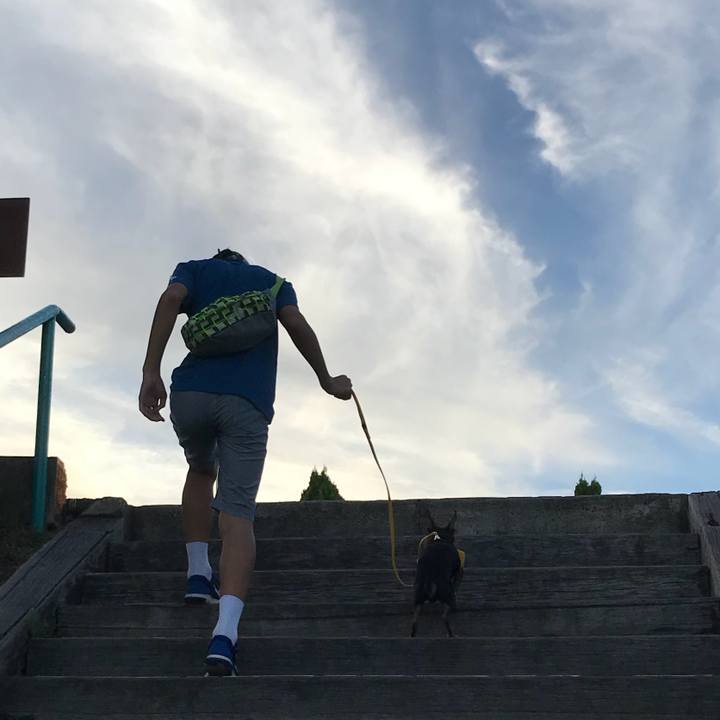 Db32b055 209a 470e 9a07 bb90bd6b3246 1534596974033