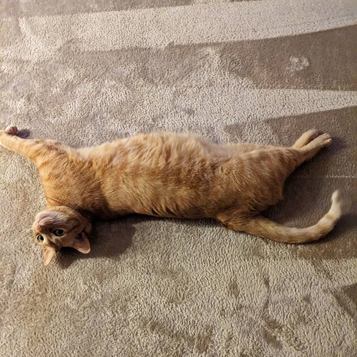 Db32b8a1 1a95 4845 af5c e525f98ae15a 1680175374847