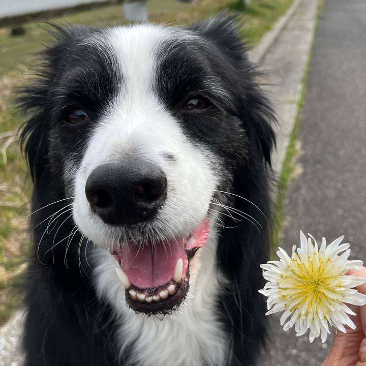 Db32bf25 a718 4f16 957a 25e18ee29eee 1774750937068