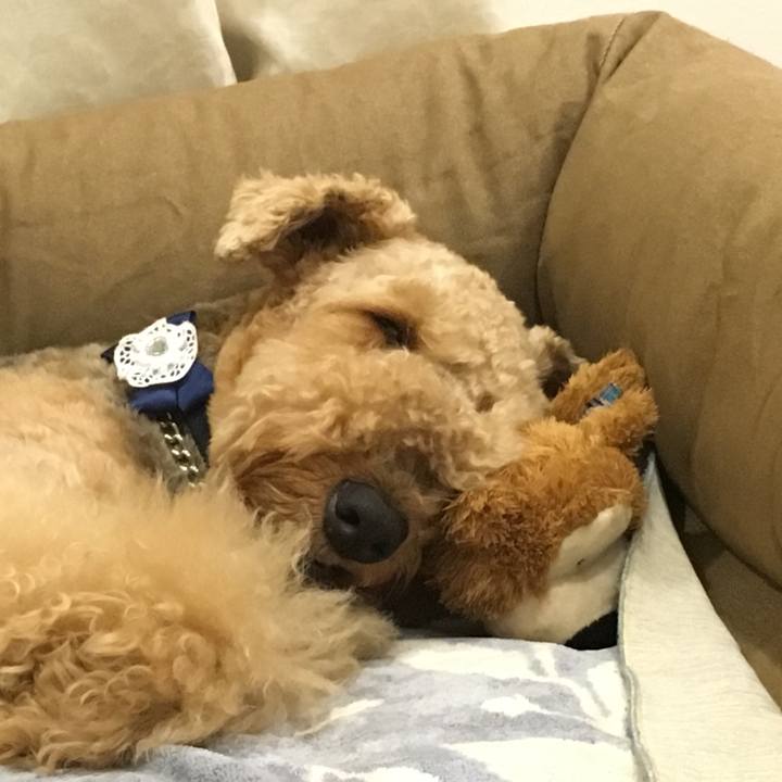 Db3302a7 ff82 4ff9 92c9 b712f5c45c58 1539777474087