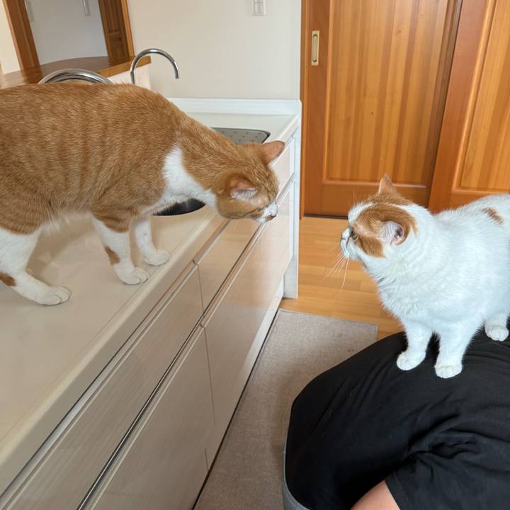 Db330c03 7485 4533 8429 a07537462c50 1776561507870