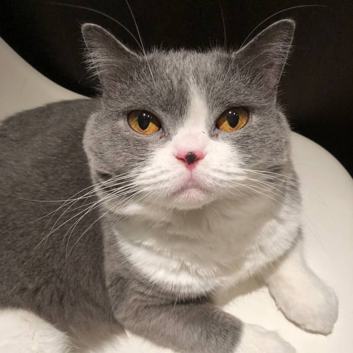 Db330dd8 9835 4d28 a298 4e5c780c29ca 1535897991781