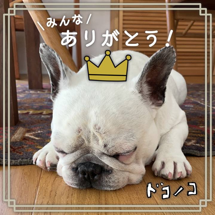 Db332004 cbed 4011 85e1 62038ef8ad02 1623452063600