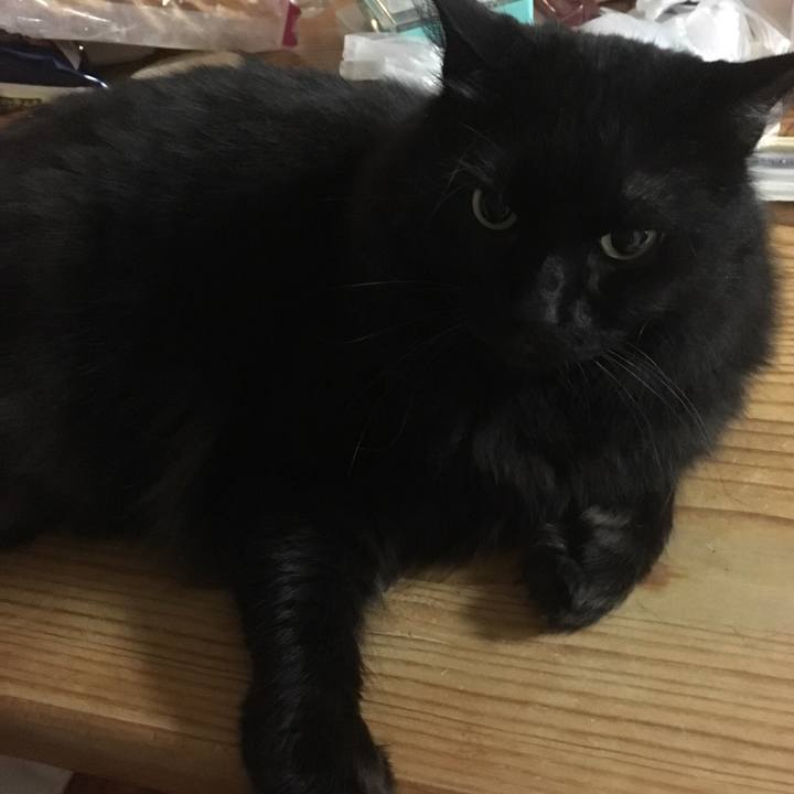 Db3323ad 9499 4d6f a61d 7ee941d377db 1534685476005