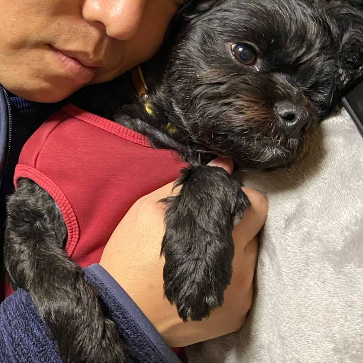 Db334ab8 83f8 4343 97c8 5750c4c1d5ad 1581605922321