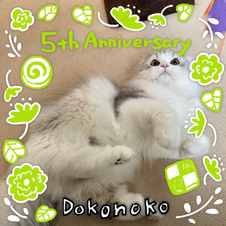 Db3365da 6c0c 4ddf 8671 09794d5fd71a 1622852401721