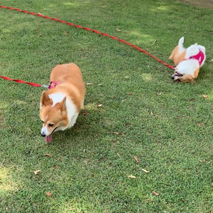 Db33707d 4575 4aa9 84f6 bf5593b34bdd 1657330748398